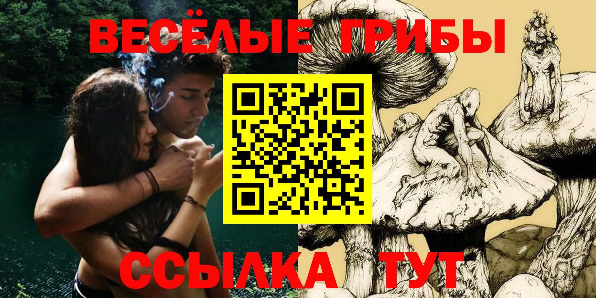 Галлюциногенные грибы Cubensis  Галлюциногенные грибы MAGIC MUSHROOMS  купить наркотик  Новороссийск  Вход с VPN 
