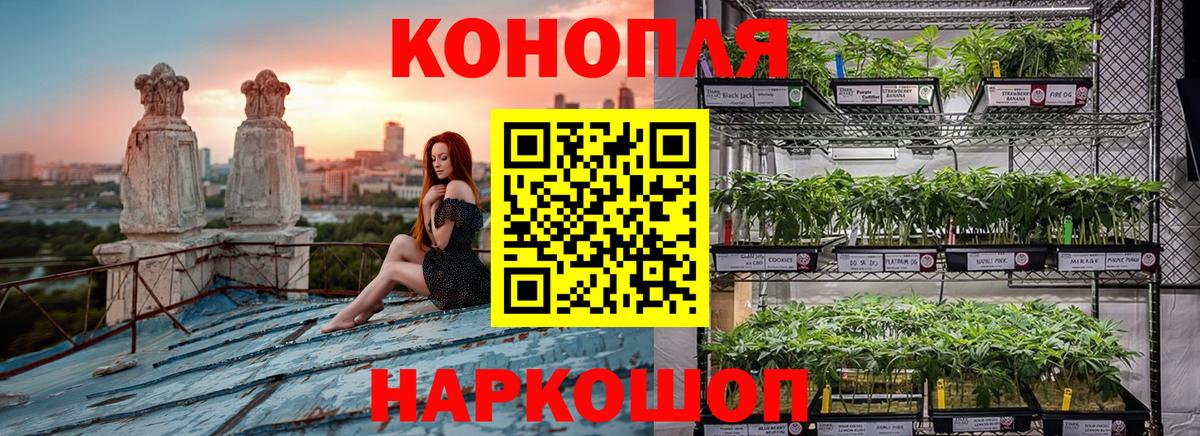 Бошки марихуана SATIVA & INDICA  Конопля конопля  Вход с VPN  Конопля VHQ  Марихуана тримм  Новороссийск 